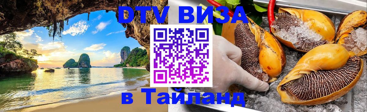 Сколько стоит DTV виза — актуальные цены, оформление даже без документов - 19.11.2025 